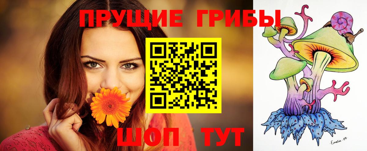 Галлюциногенные грибы прущие грибы  Вход с VPN  Волжск 